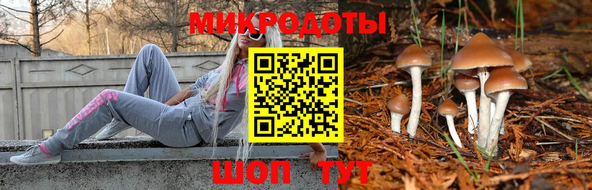 Псилоцибиновые грибы GOLDEN TEACHER  Вход с VPN  Бугуруслан 